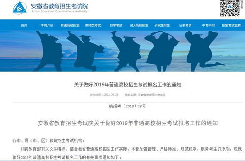 教育 网